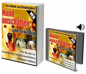 Hund anschaffen - aber richtig