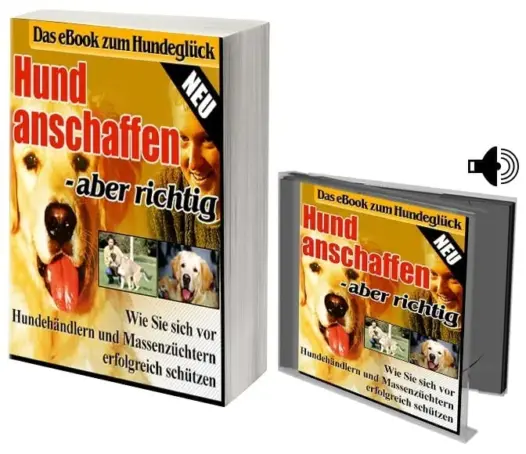 Hund anschaffen - aber richtig